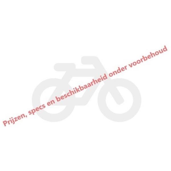 Batavus Dinsdag Donkerrood Mat Dames 2023-53 cm - Afbeelding 3